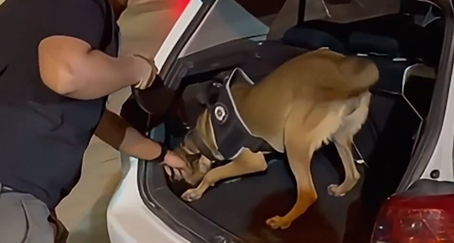 1 Ton 183 Kilogram Uyuşturucu ve 2 Milyon 790 Bin Hap Ele Geçirildi