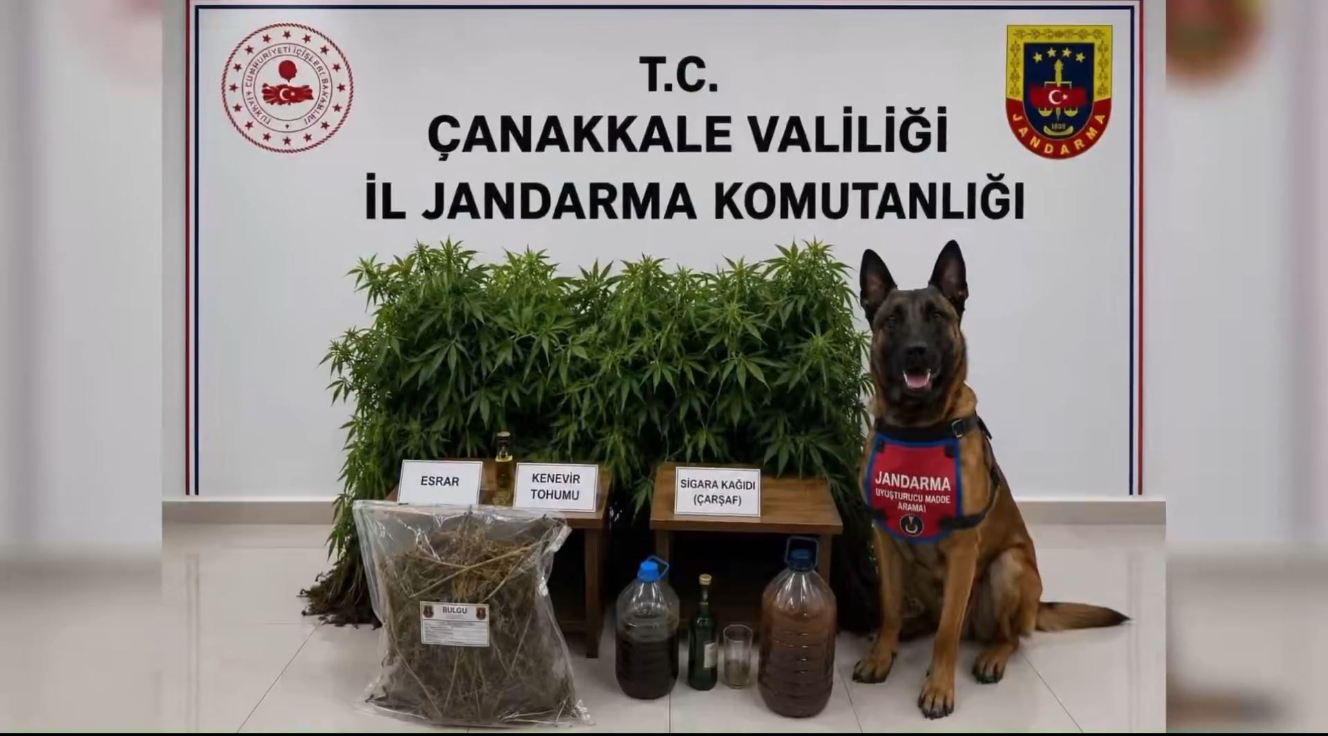 18 İlde Uyuşturucu Operasyonu: 59 Tutuklama