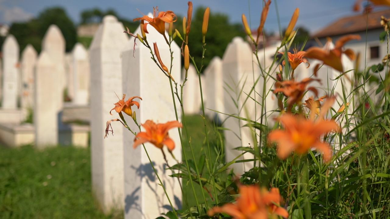 8 Binden Fazla Boşnak’ın Katledildiği Srebrenitsa, Belgeselle Bir Kez Daha Gündemde
