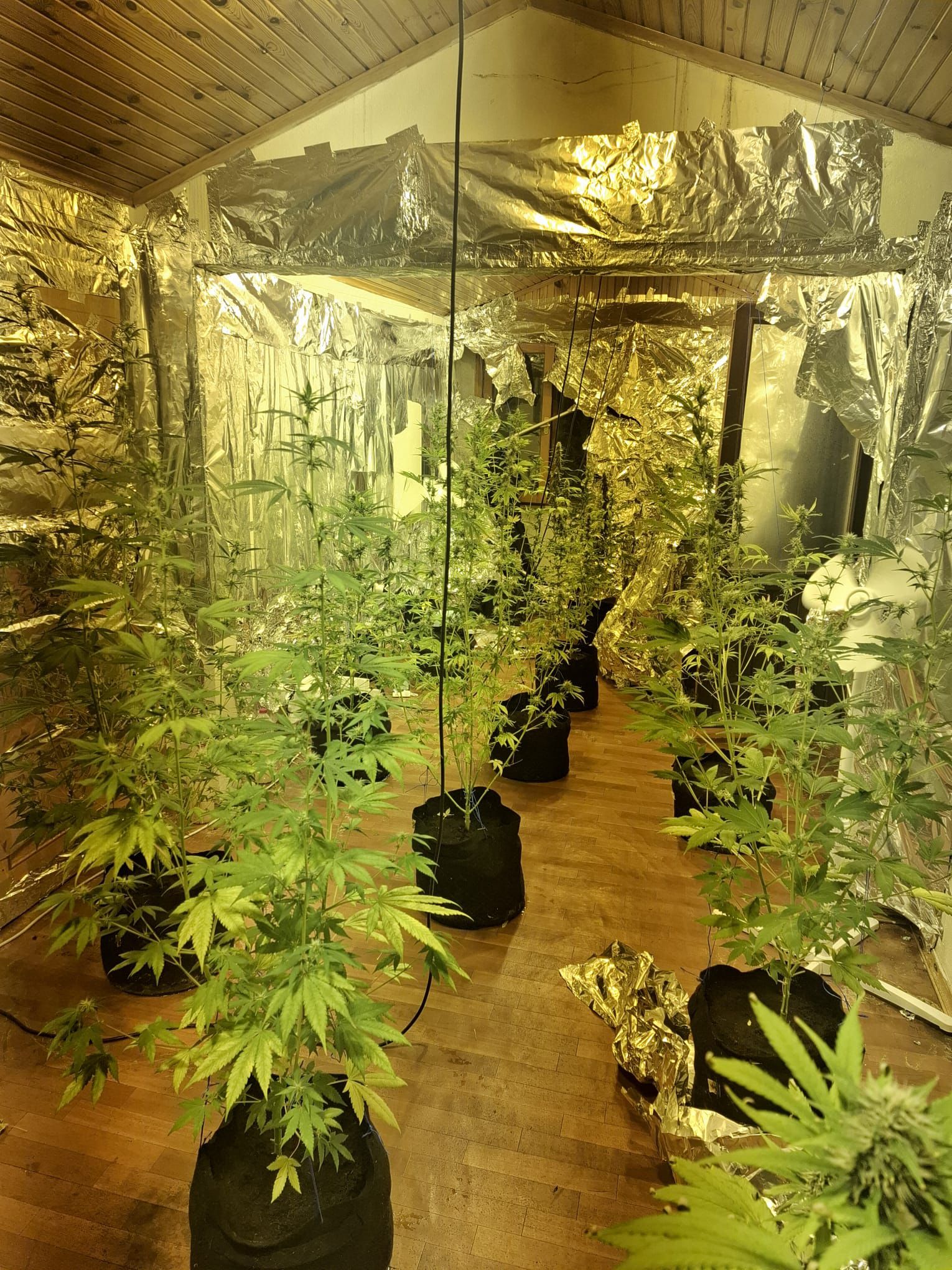 Aranan Hükümlüye Narkotik Operasyonu: Uyuşturucu İmalathanesi Ortaya Çıkarıldı