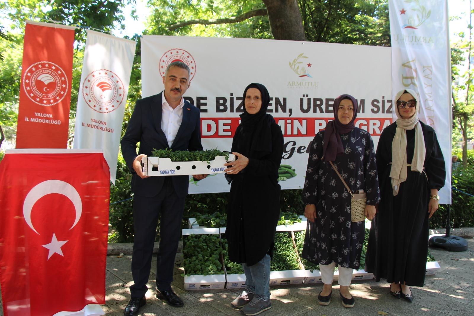 Armutlu’da Üreticilere Sebze Fidesi Desteği
