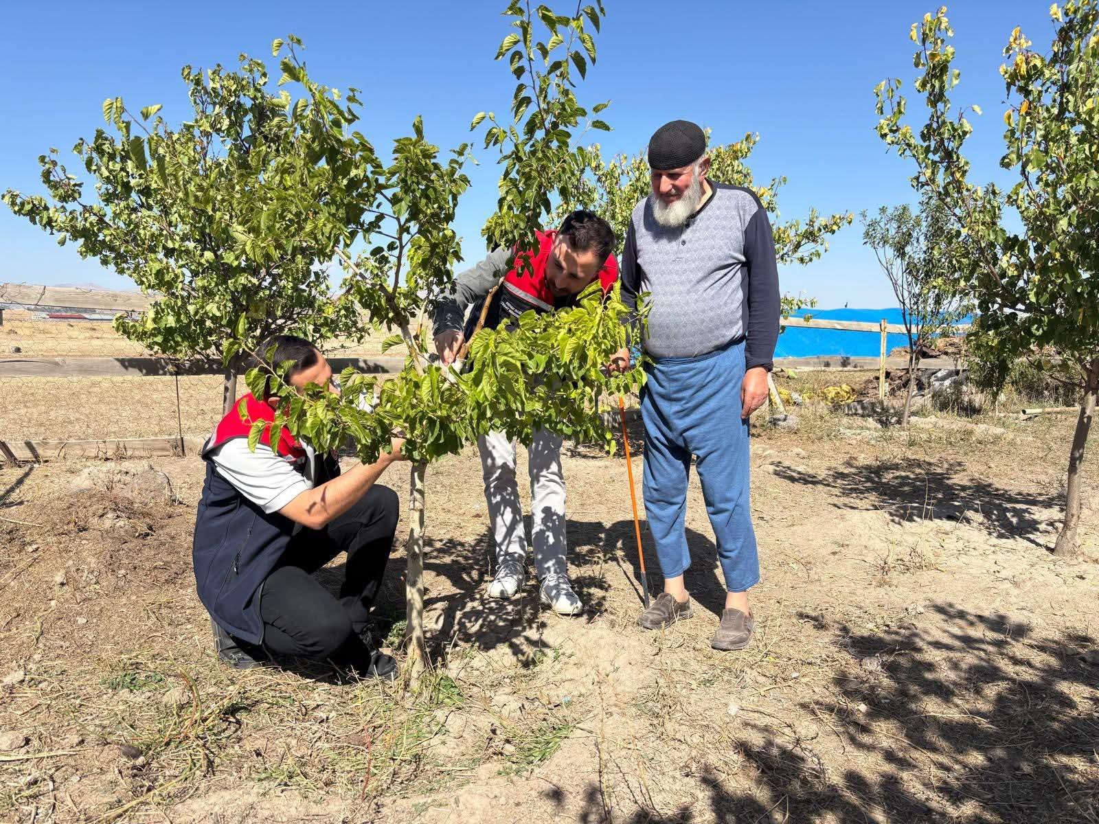 Bacalı Köyü’nde Durgun T Göz Aşısı Uygulaması ve Takip Çalışmaları Yapıldı