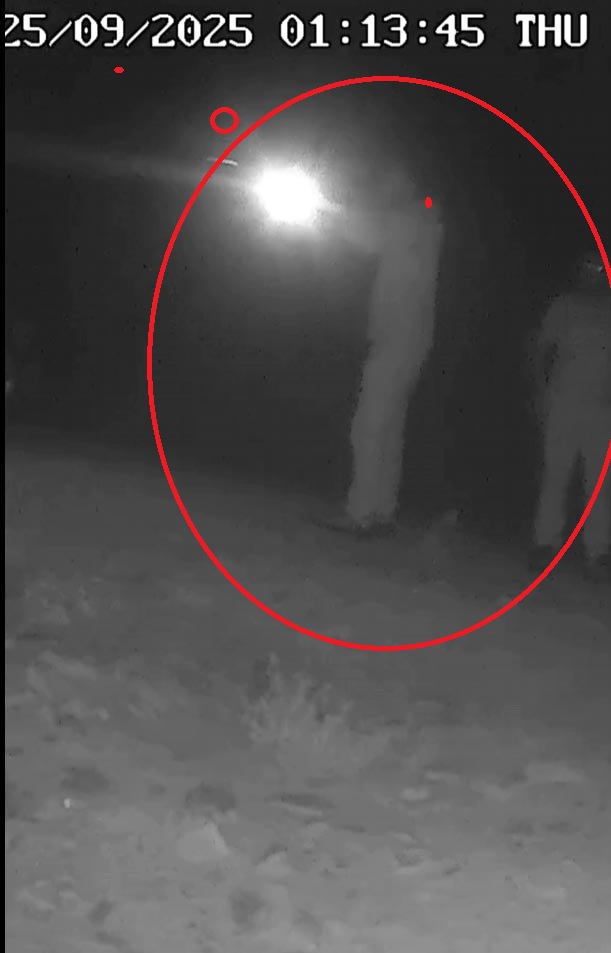 Bartın’da Bozayıyı Kaçak Avlayan 2 Kişi Hakkında Yasal İşlem Başlatıldı