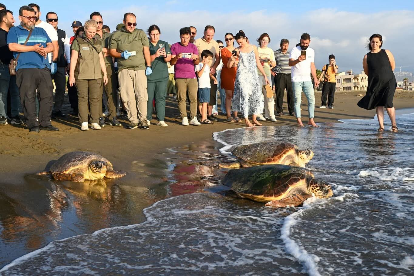 Carettalar Yeniden Denizle Buluştu
