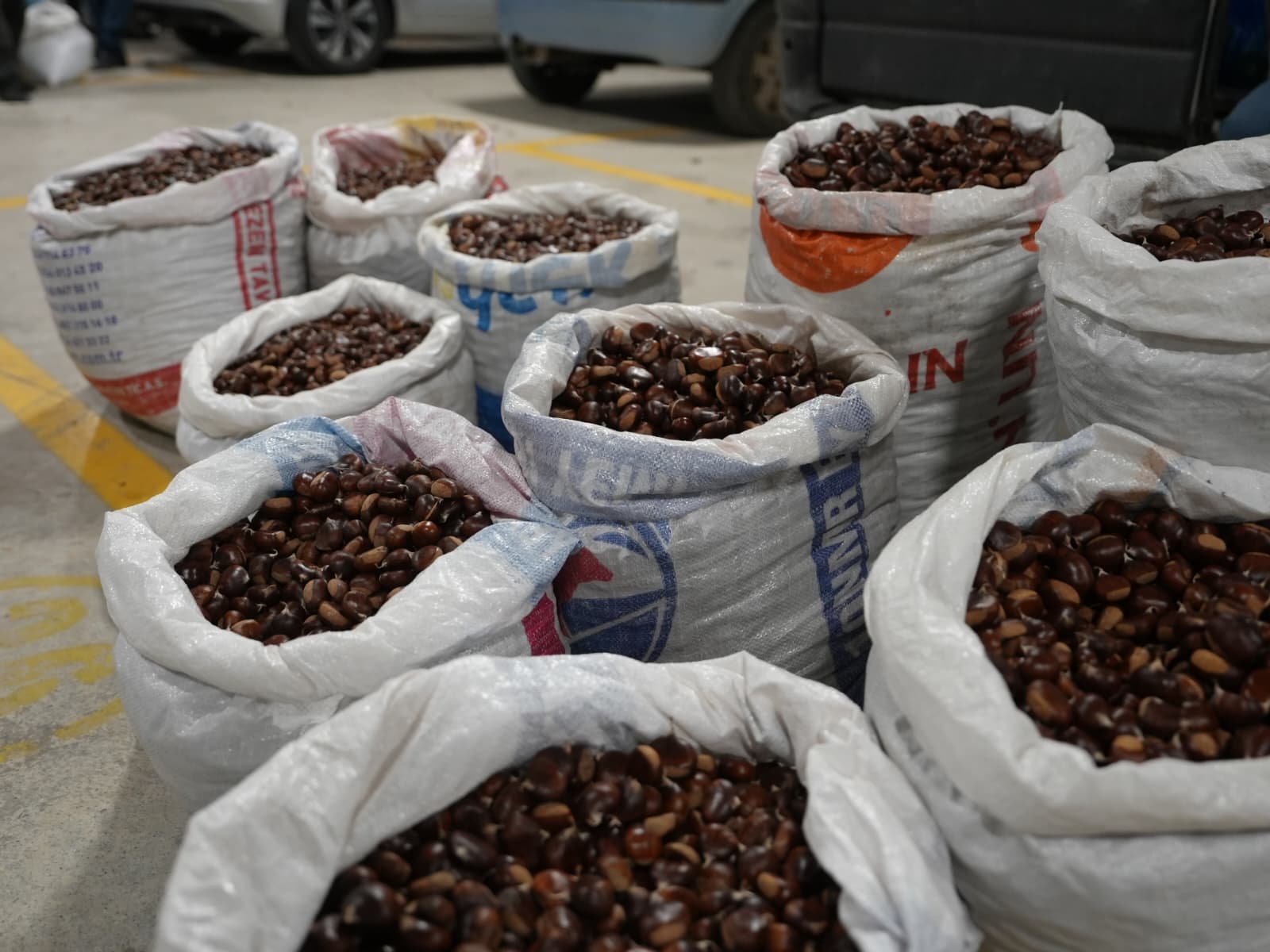 Coğrafi İşaretli Düzce Kuzu Kestanesi Pazara İndi