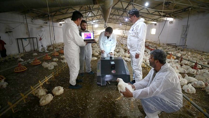 ÇOMÜ’lü Akademisyenlerden Kümes Hayvancılığına Yenilik: Broiler Sağlık Takip Robotu “BroBot”