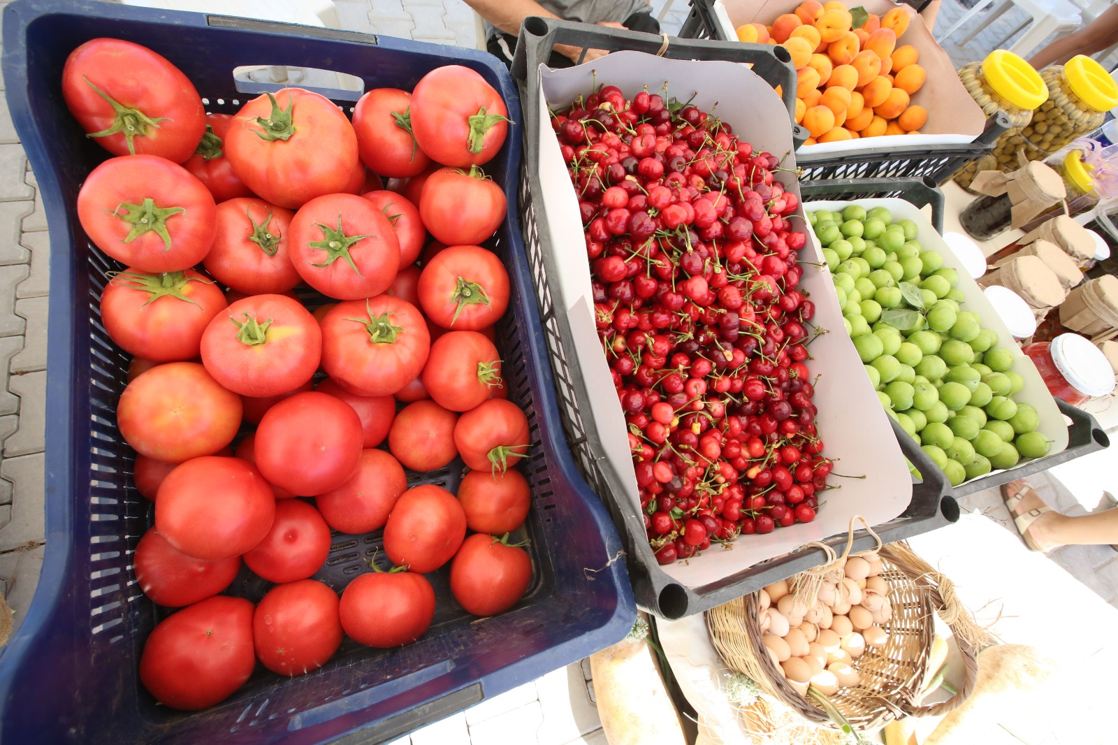 Efes Tarlası Yaşam Köyü’nde Üretici Pazarı 19 Ekim’de Açılıyor