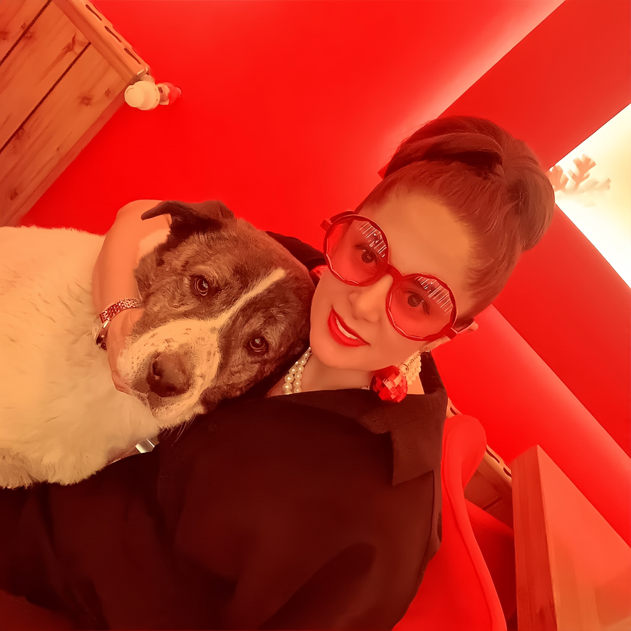 Esenyurt’ta 10 Yıllık Sahipli Köpek Barınakta Öldü: Aileden Otopsi ve Soruşturma Talebi