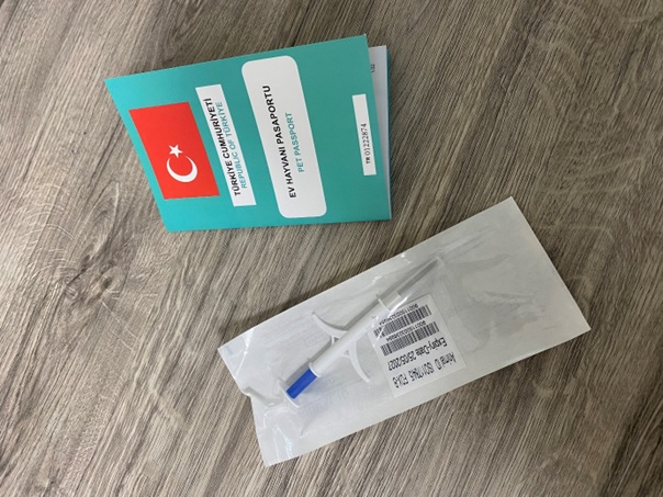 Evcil Hayvan Sahipleri İçin Son Çağrı: Çip Taktırma Süresi Yıl Sonunda Doluyor