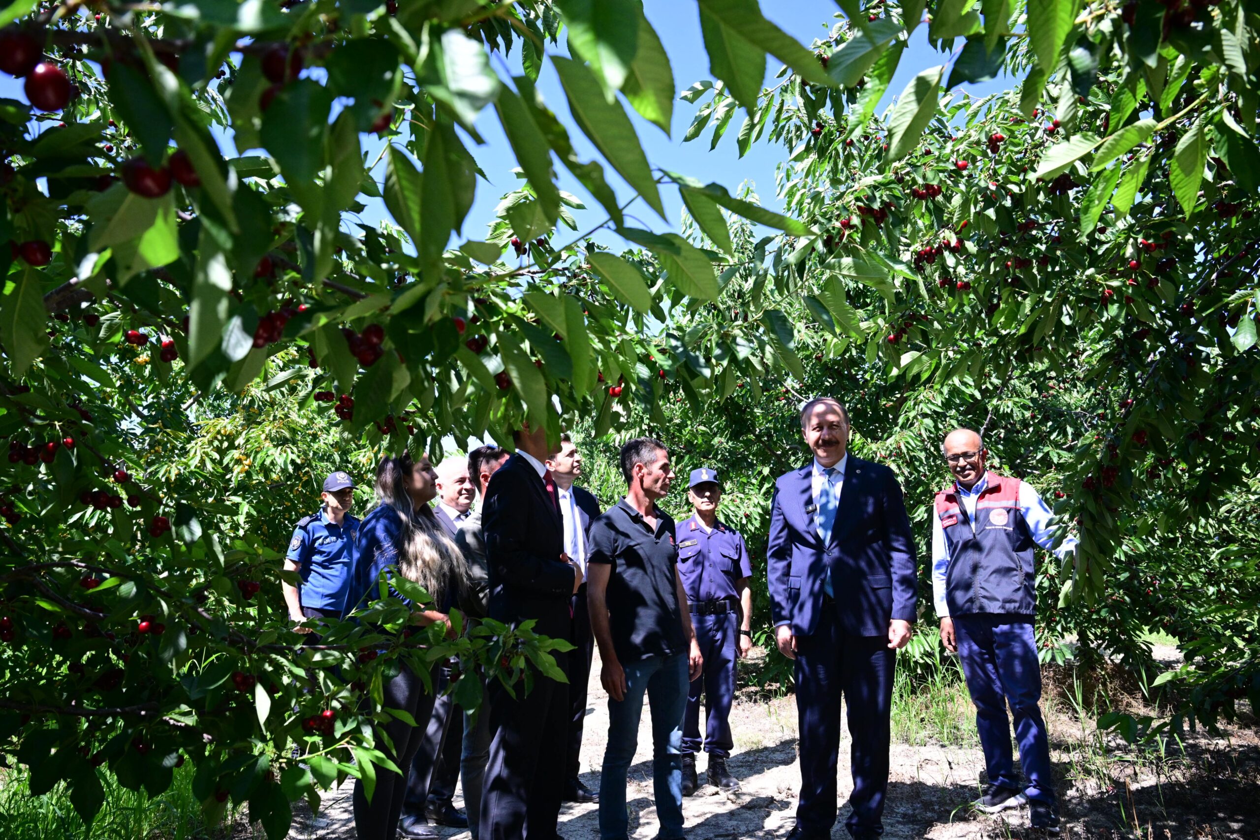 Isparta Valisi Abdullah Erin Uluborlu’da Kiraz Hasadına Katıldı