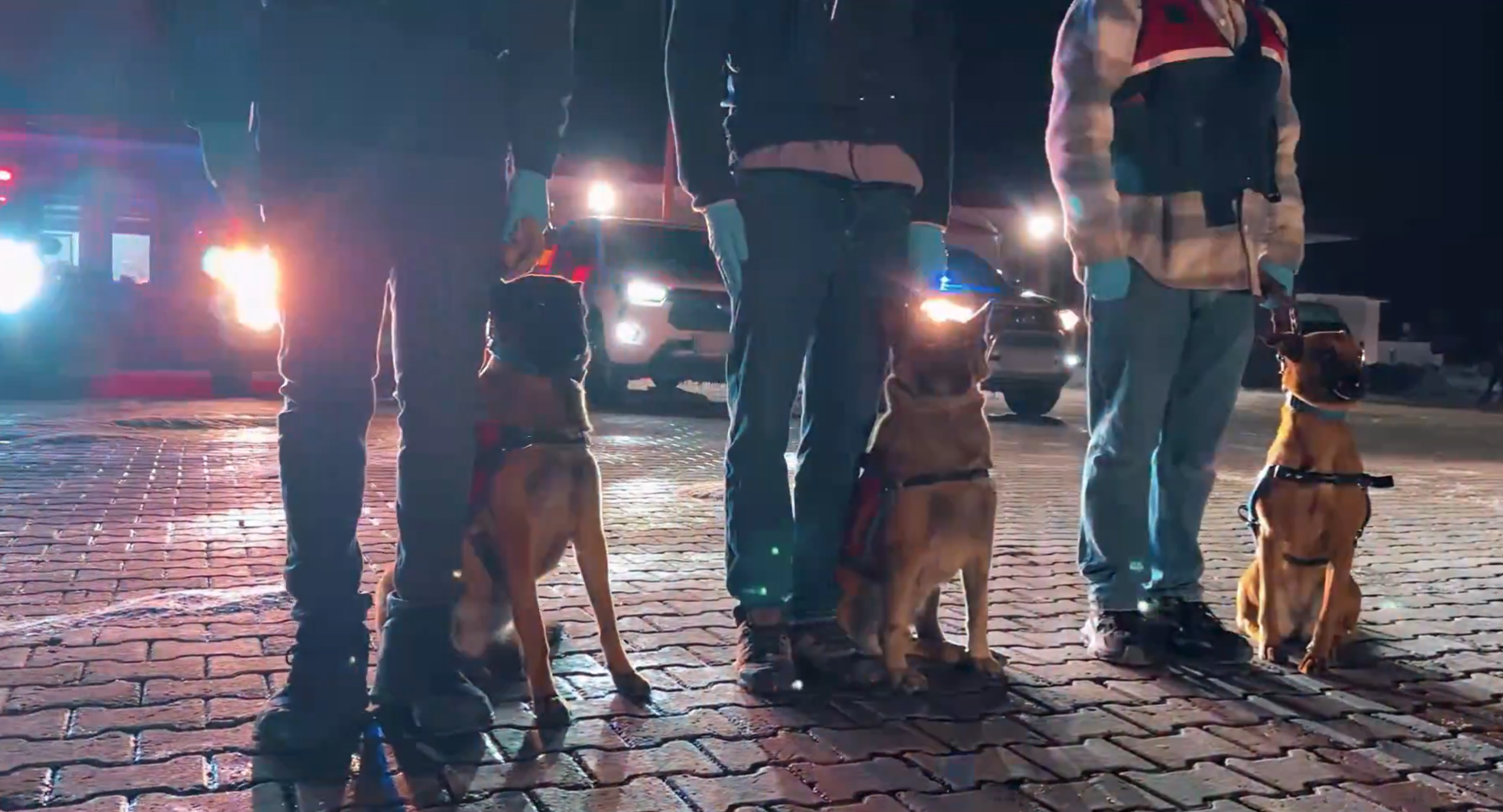 İstanbul Merkezli 10 İlde Dev Uyuşturucu Operasyonu: 10 Gözaltı