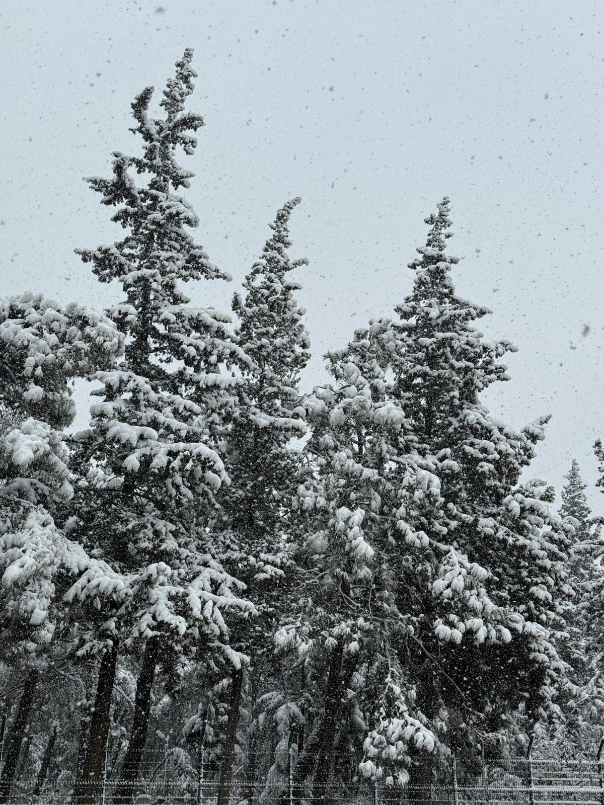 Kahramanmaraş’ta Yılın İlk Günlerinden İtibaren Kar Etkili Oldu: Şehir Beyaza Büründü, Hayat Hem Renklendi Hem de Yavaşladı