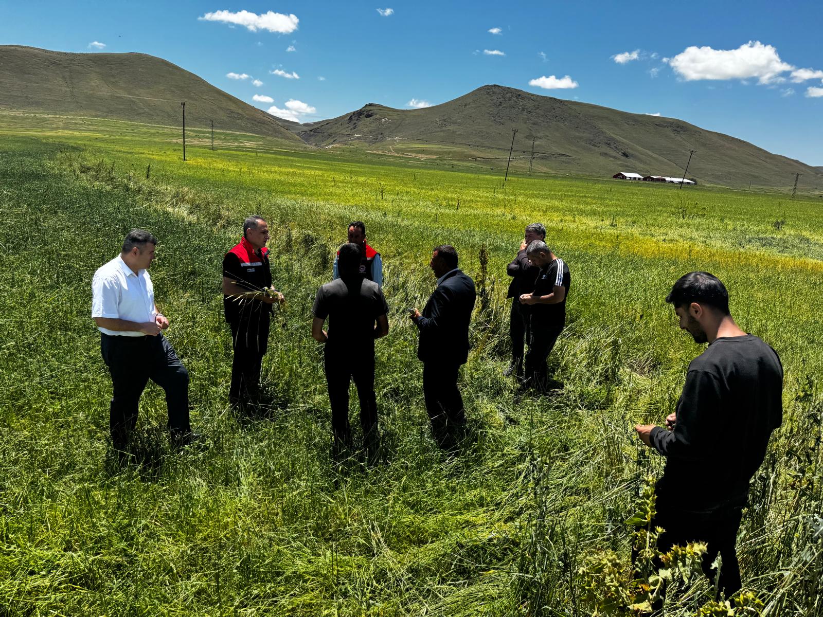 Kars Tarım ve Orman İl Müdürü Enver Aydın, Dolu Zararını Yerinde İnceledi