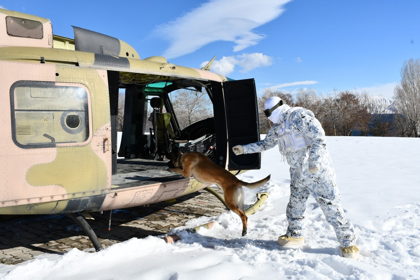 Komandoların Sadık Dostlarına Zorlu Şartlarda Eğitim: Derin Kar ve Şiddetli Soğukta Tatbikat