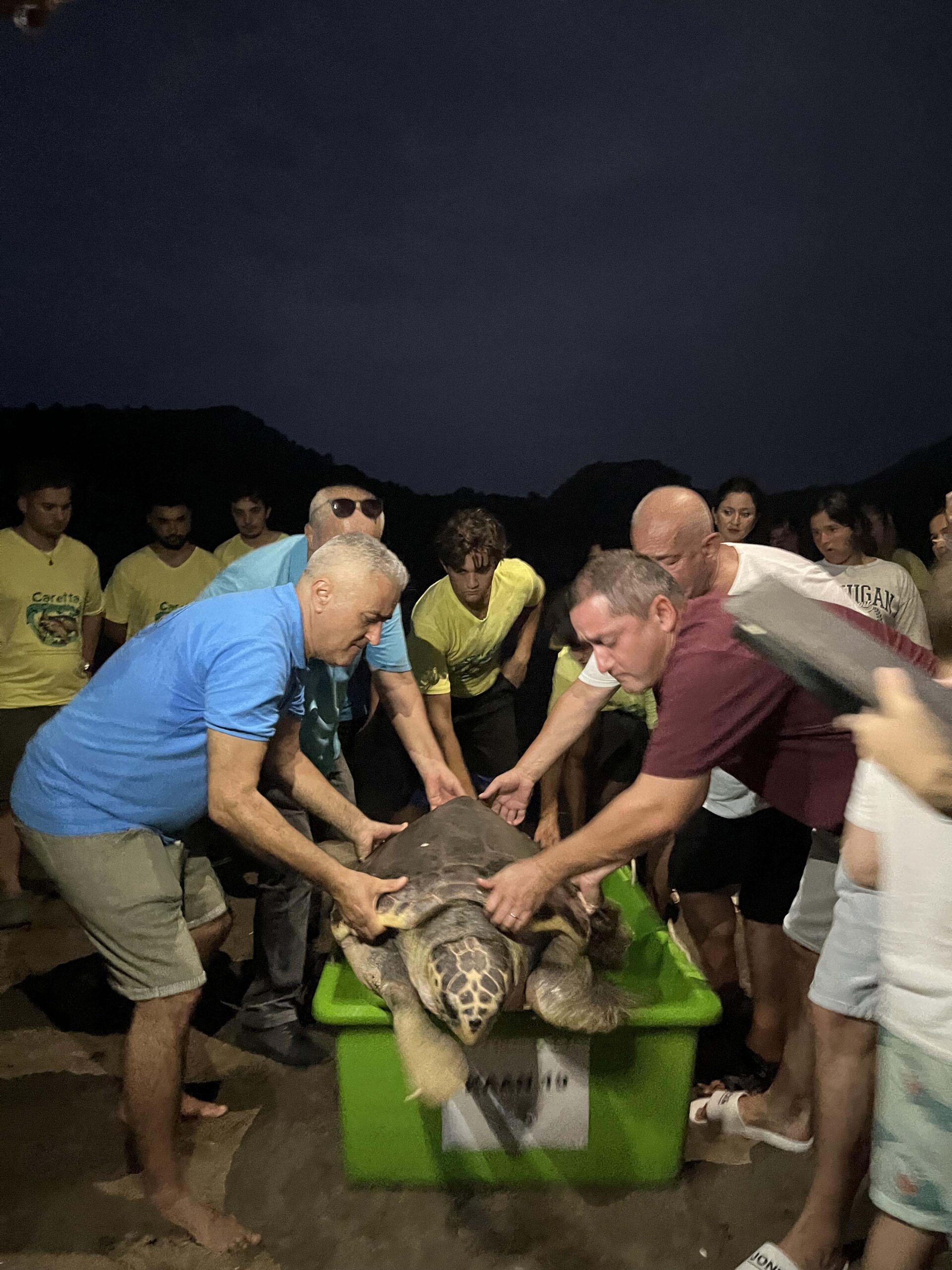 Marmaris’te Misinaya Takılan Caretta Caretta ‘Kaan-19’ Tedavisinin Ardından Denizle Buluştu