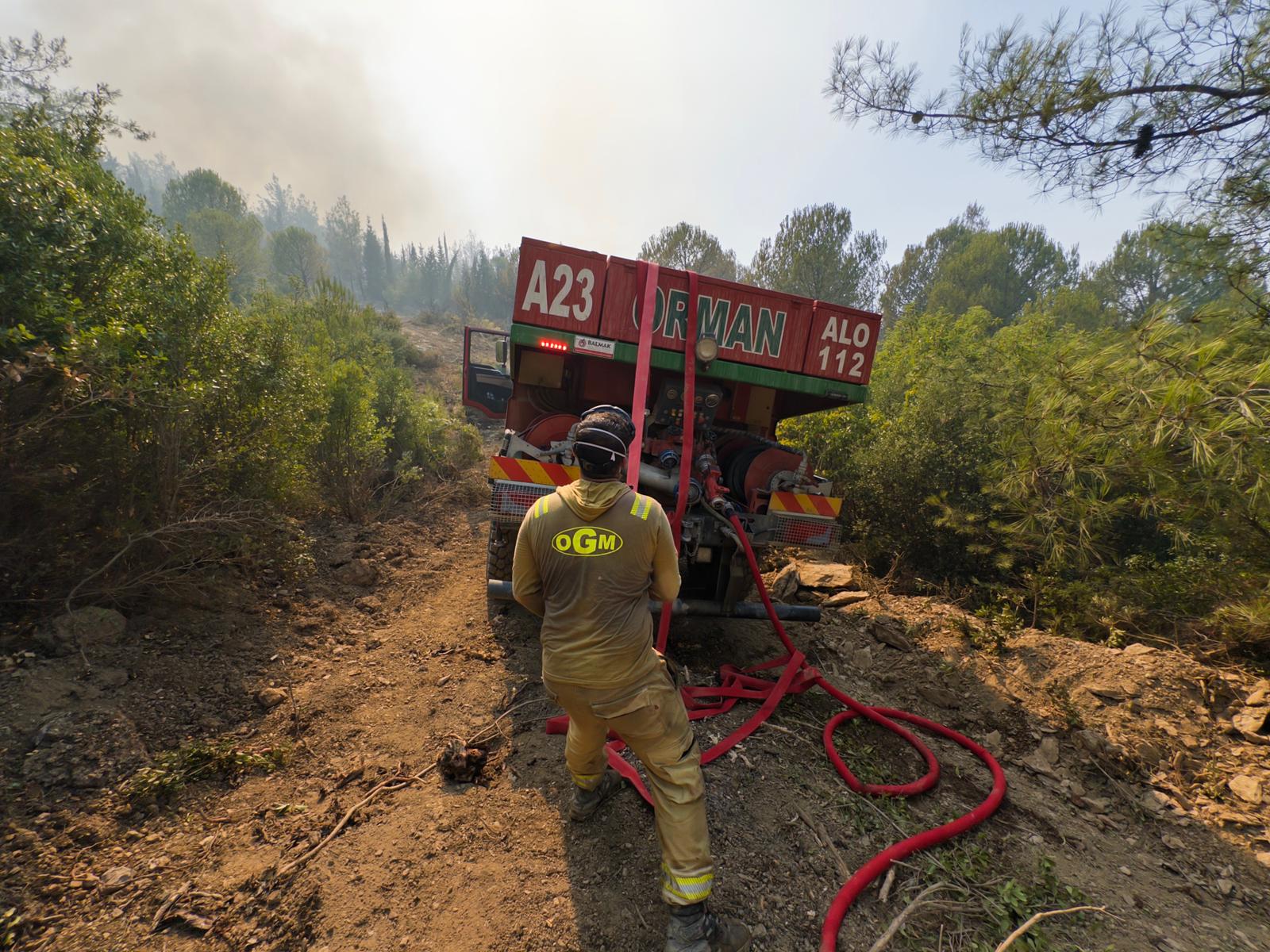 Orman Genel Müdürlüğü 262 Daimi İşçi Alacak