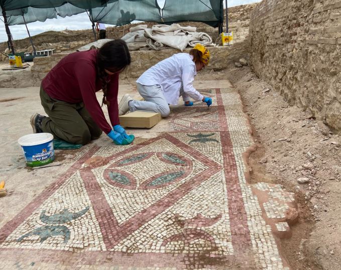 Pompeiopolis Antik Kenti’nde 105 Metrekarelik Tarihi Zemin Mozaiği Bulundu