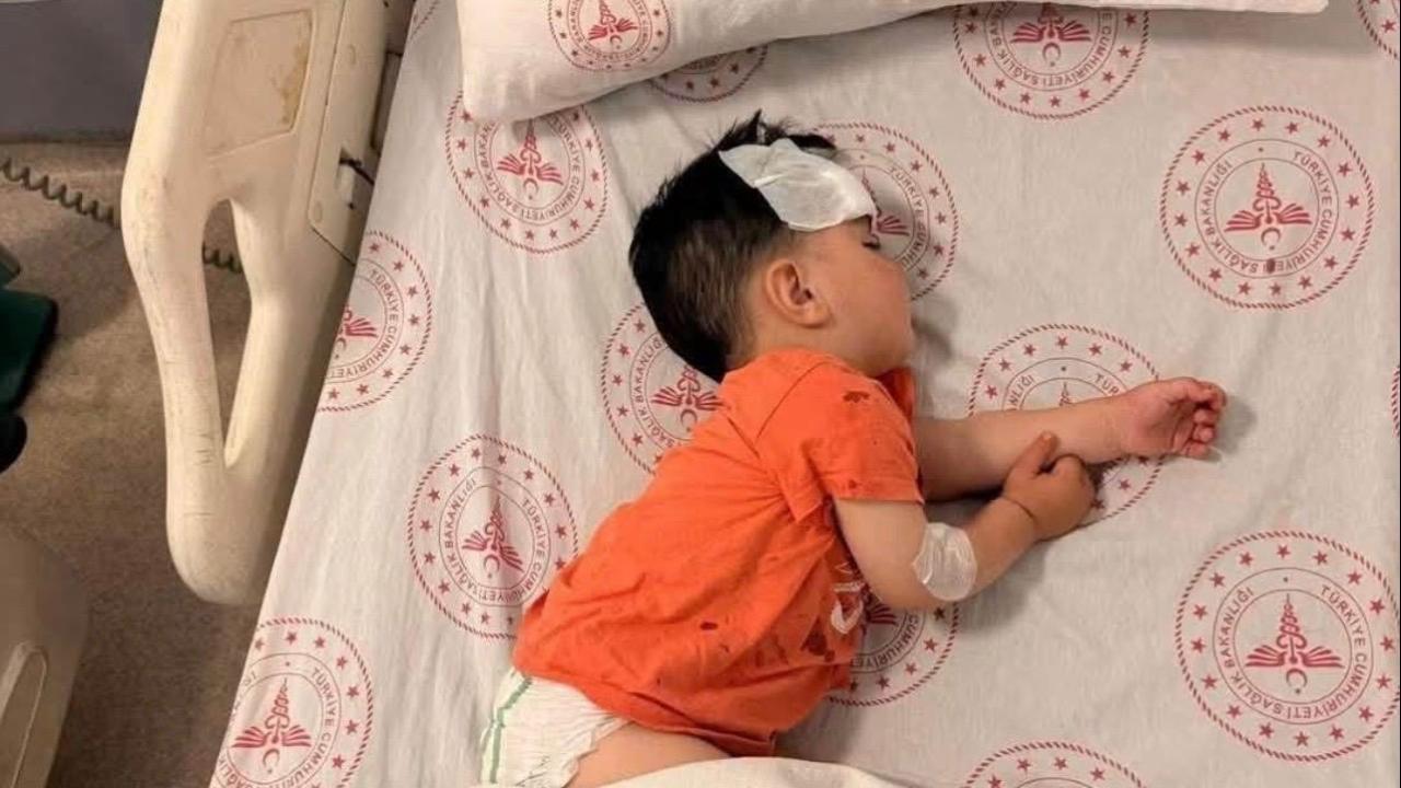Şanlıurfa’da Sahipsiz Köpek Saldırısı: Bakan Çiftçi Talimatıyla Müfettiş Görevlendirildi