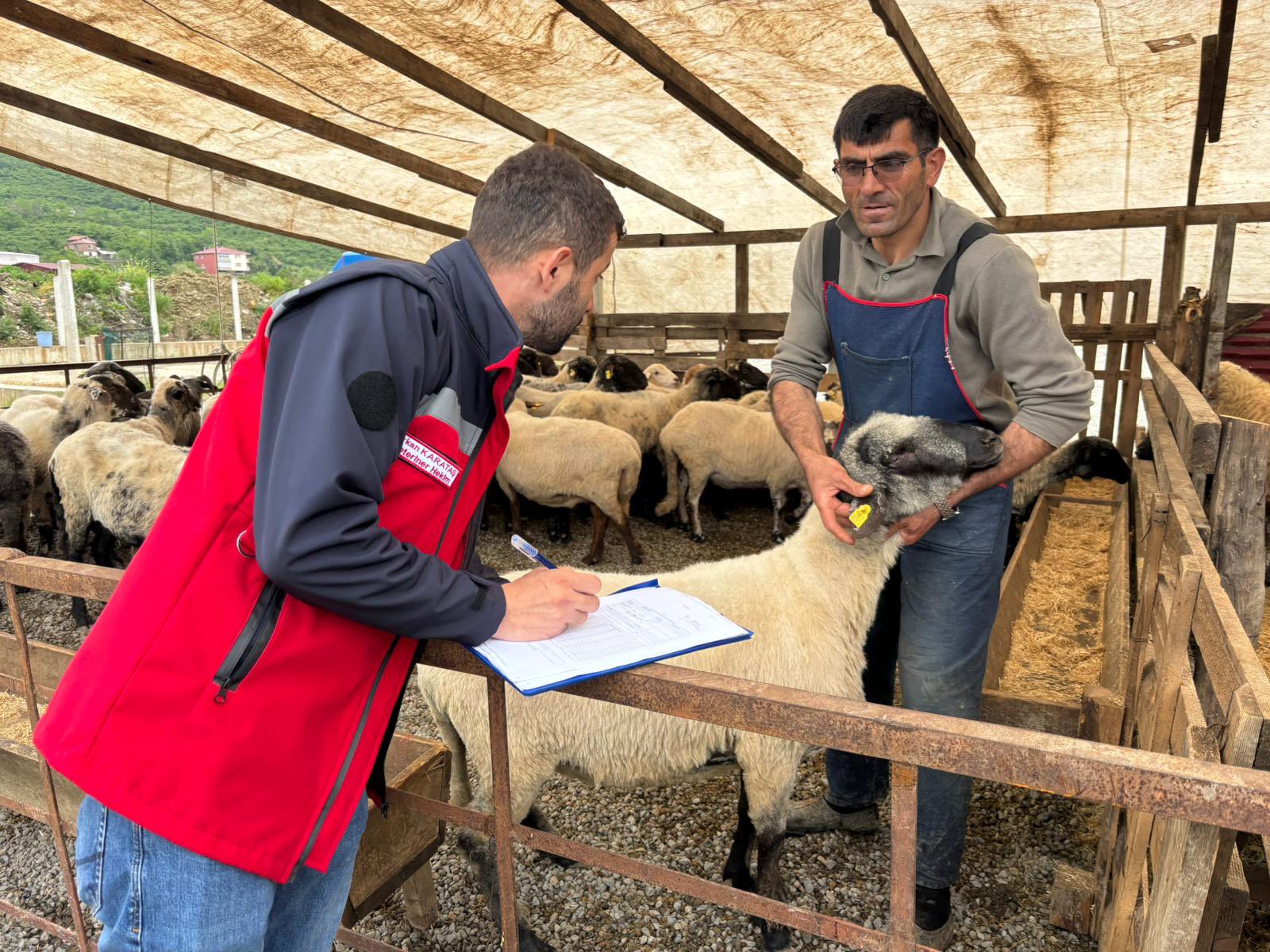 Tarım ve Orman Bakanlığı’ndan Kurban Bayramı Öncesi 81 İlde Sıkı Denetim