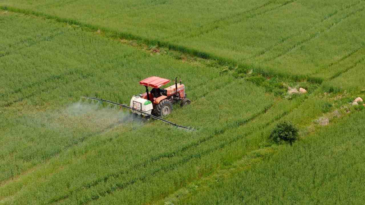 Tarımsal Destek Ödemesi Bugün Hesaplara Aktarılacak