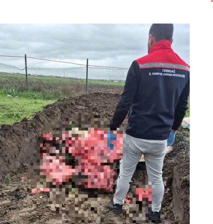 Tekirdağ’da 1 Ton Kaçak Hayvansal Ürün Ele Geçirildi