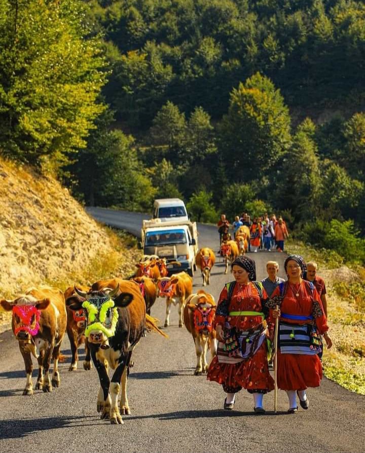 TRABZON’DA YAYLACILIK