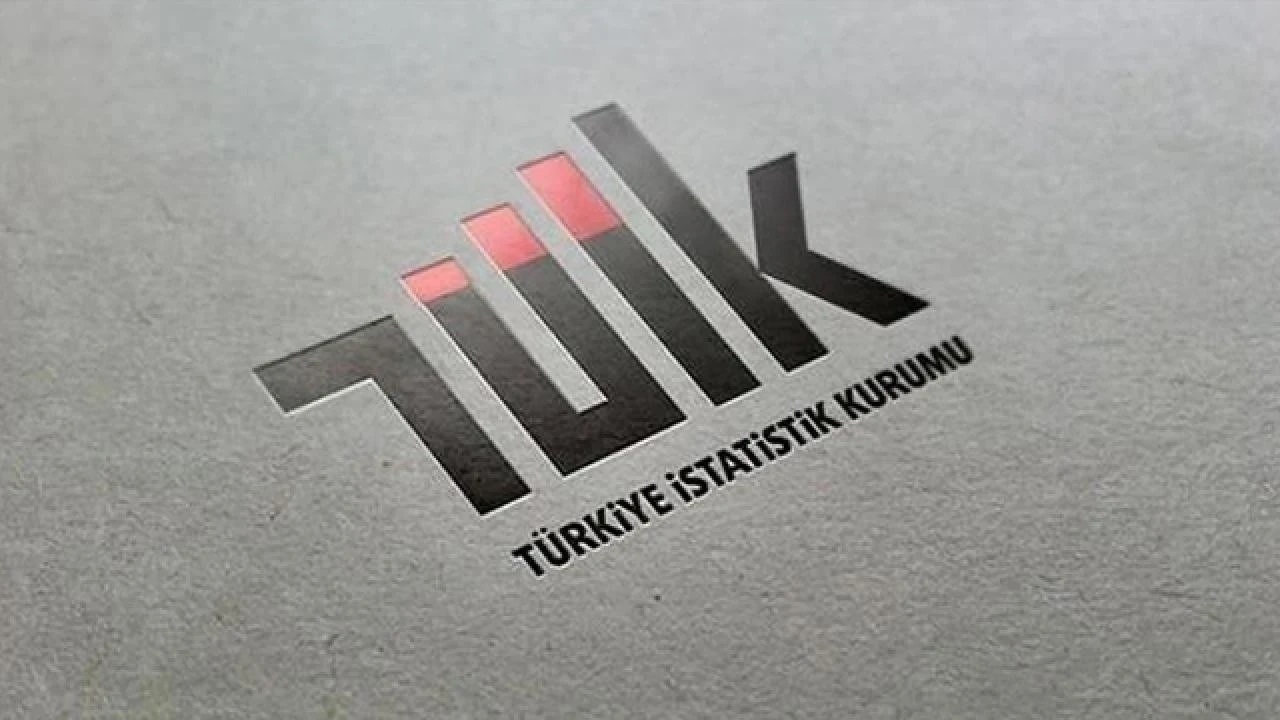 TÜİK 2025 Yılı Mali Aracı Kuruluş Verilerini Duyurdu