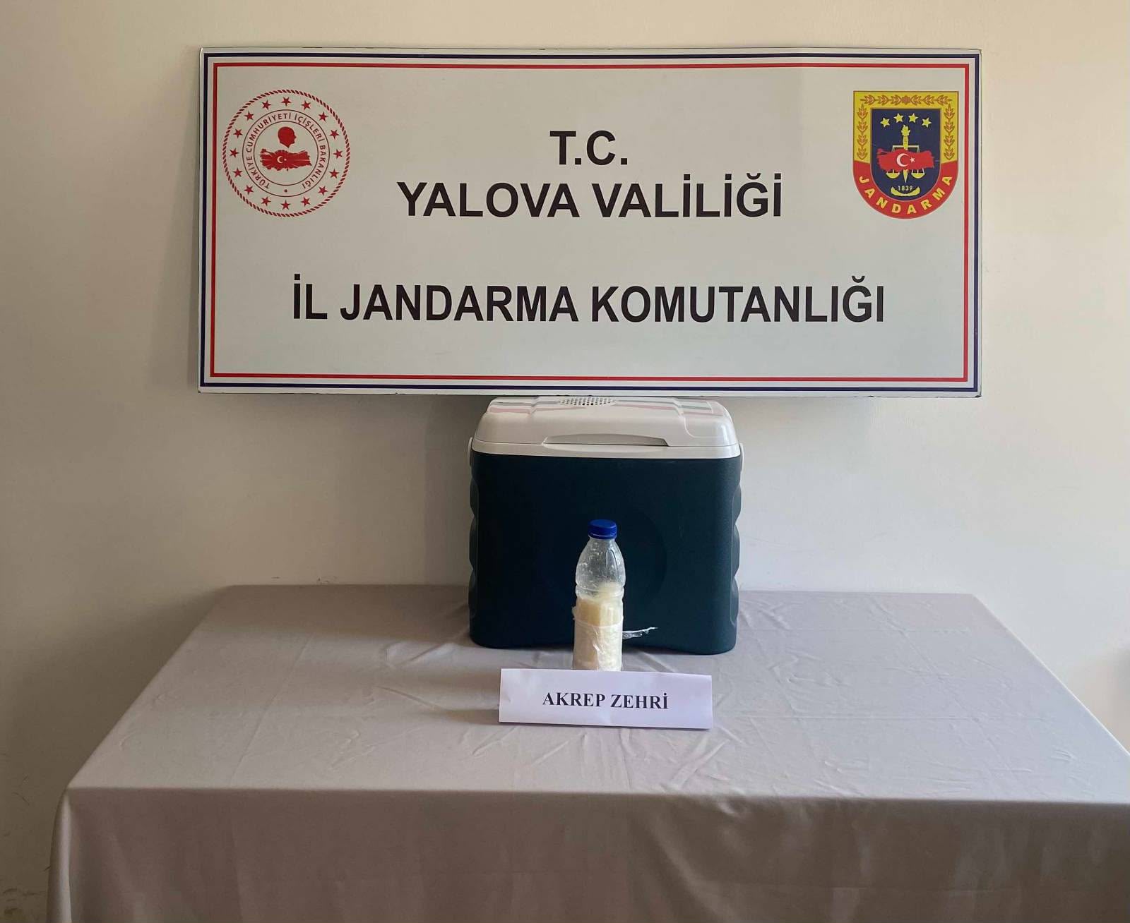 Yalova’da 5 Milyon Dolarlık Akrep Zehri Ele Geçirildi