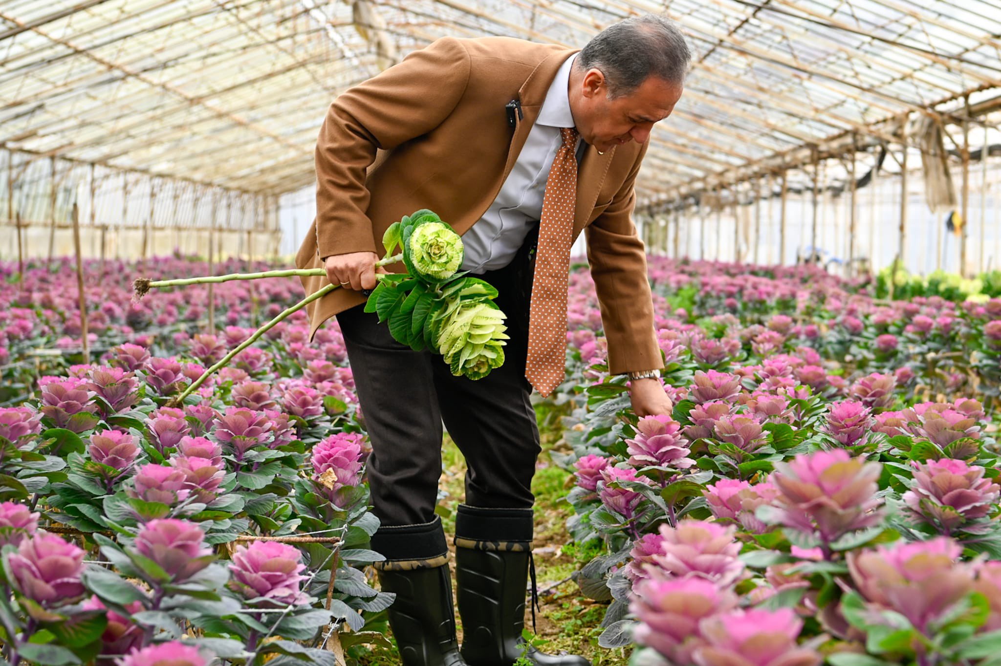 Yalova’da Kesme Çiçek Üreticilerine Vali Ziyareti