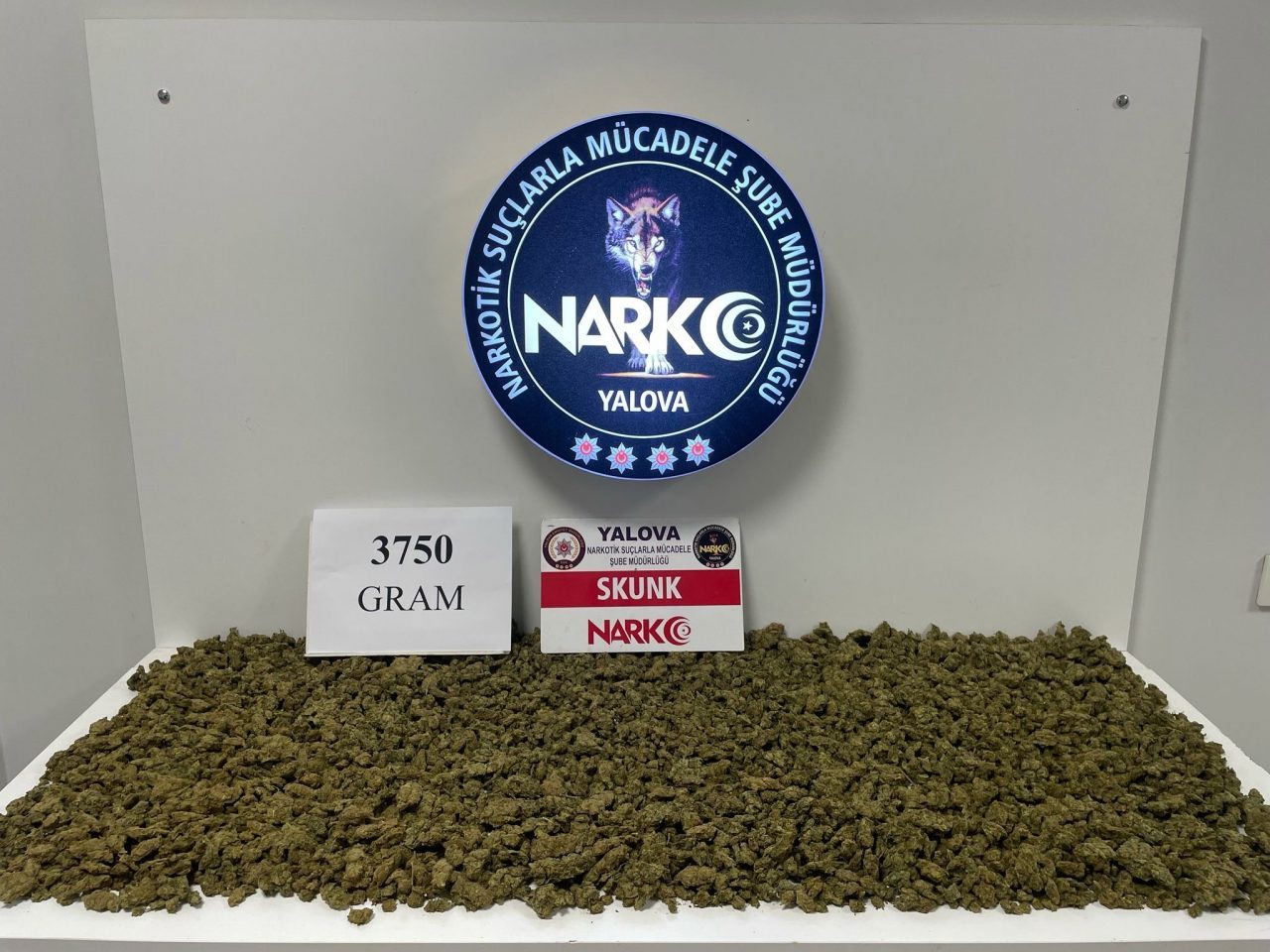 Yalova’da Motosikletli Şüphelinin Valizinden 3 Kilo 750 Gram Skunk Çıktı